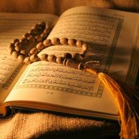 Best Quran Teaching