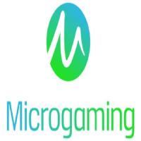 Micro Gaming