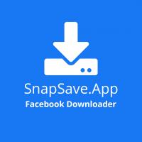 Snapsave App Facebook Downloader